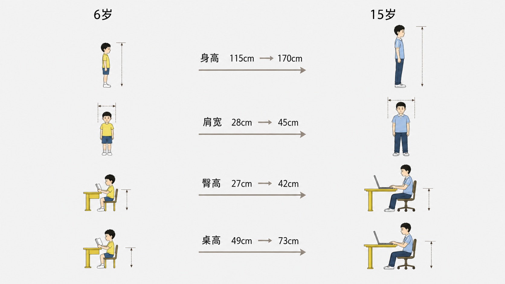 孩子从六岁到十五岁的身高肩宽臀高和桌面高度变化